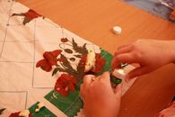 Первый Всероссийский фестиваль науки 2011г