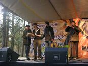 "Серебряные струны"  2011