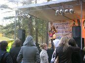 "Серебряные струны"  2011