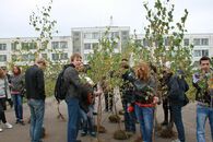 Аллея неофитов