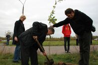 Аллея неофитов