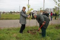 Аллея неофитов