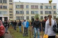 Аллея неофитов