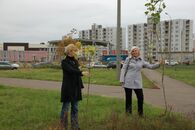 Аллея неофитов