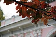 «Любовью и единением спасемся»