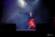 Студенческая весна-2019. Юридический факультет