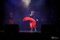 Студенческая весна-2019. Юридический факультет