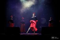 Студенческая весна-2019. Юридический факультет